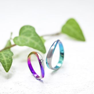 【一真堂】 ガンガ