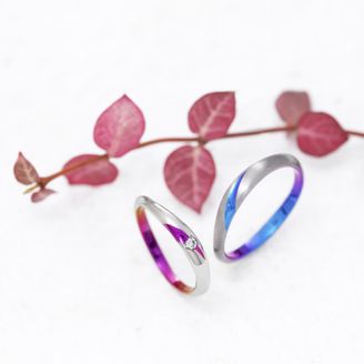 【一真堂】 カラ