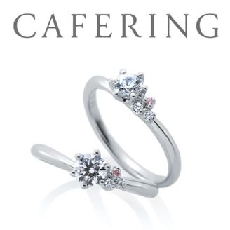 【一真堂】ジャルダンドゥロゼ