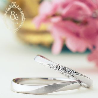 【一真堂】＆tique　PHEDIO