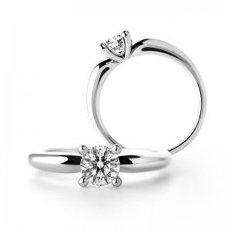 【一真堂】シャーロット