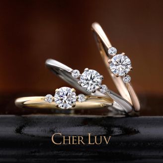 【VANillA(ヴァニラ)】【 STATICE 】 スターチス