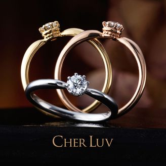 【VANillA(ヴァニラ)】【 DAISY 】 デージー