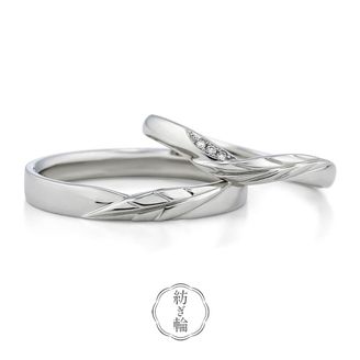 【VANillA(ヴァニラ)】【 月桂樹 】 げっけいじゅ