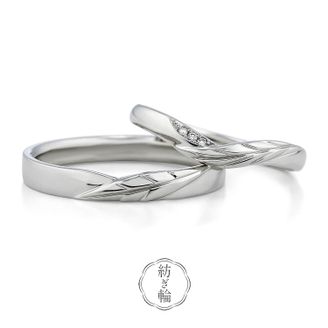 【VANillA(ヴァニラ)】 【 月桂樹 】 げっけいじゅ