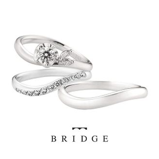 【VANillA(ヴァニラ)】【 WINTER CAMELLIA & MORNING WAVE 】 運命の花 & つむぎ