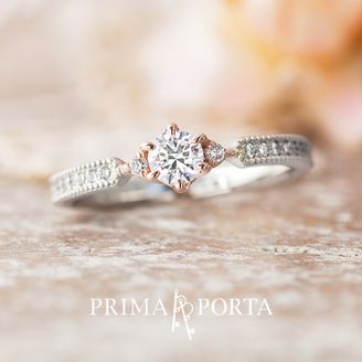 【VANillA(ヴァニラ)】【 Aria 】 アリア