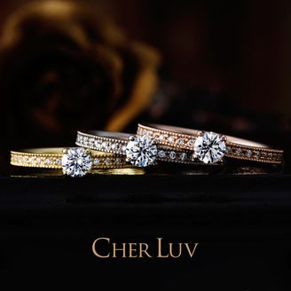 【VANillA(ヴァニラ)】【 BEGONIA 】 ベゴニア