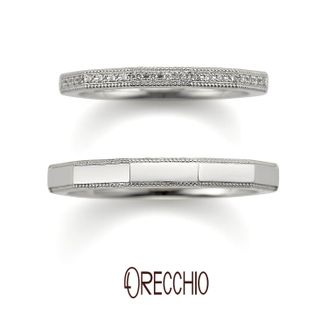 【VANillA(ヴァニラ)】 【 safari 】 サファリ（FM-2226 / FM-2225）