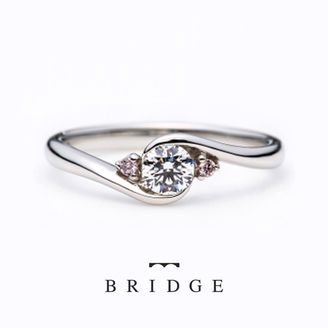 【VANillA(ヴァニラ)】【 Rose Garden 】 薔薇のアーチ