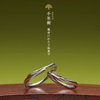 【GRACIS(グラシス)】【萬時】千年樹( Sennenjyu )