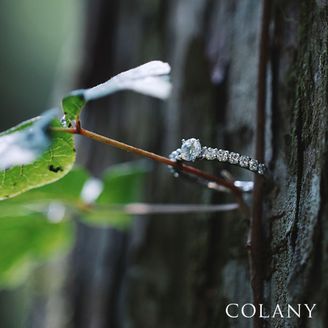 【tamaya BRIDAL(宝石の玉屋)】カサブランカ