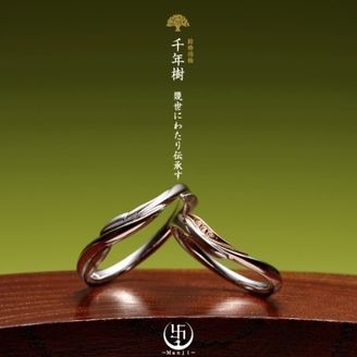 【JEWEL SEVEN BRIDAL(ジュエルセブンブライダル)】千年樹