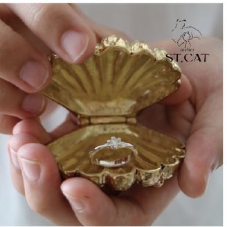 【atelier ST, CAT(アトリエ エスティーキャット)】【プロポーズケース貸出】Shell Case