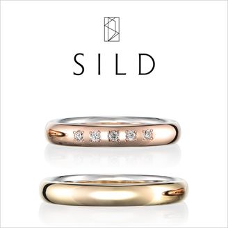 【Kizunano Wa(キズナノワ)】 future 【ヒューチャー】-未来- あなたと一緒に未来を見たい