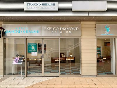 エクセルコ ダイヤモンド 四日市ふれあいモール店