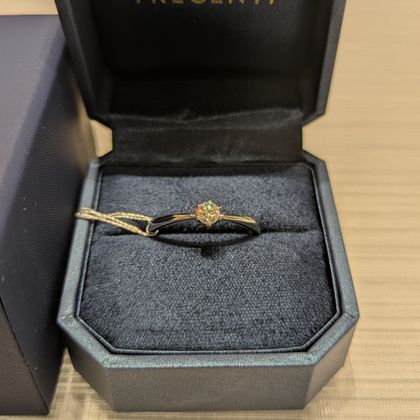 TRECENTI 結婚指輪 アマリッリデ | 婚約指輪・結婚指輪のTRECENTI（トレセンテ）