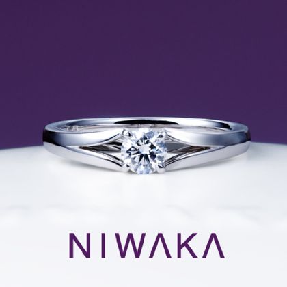 【俄(にわか)】瑞穂波 MIZUHONAMI