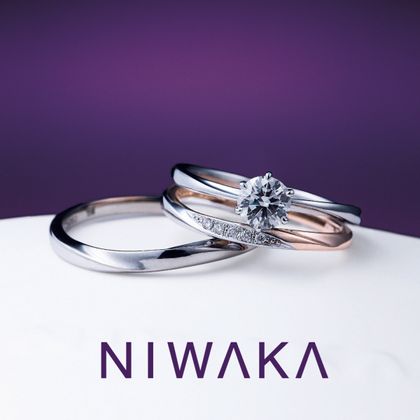 【俄(にわか)】花雪 HANAYUKI・雪佳景 SEKKAKEI