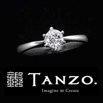 【TANZO.(鍛造指輪)】【サプライズプロポーズ応援】プロポーズリング/サイズ調整もデザインの変更も自由自在