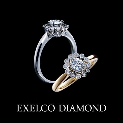 【エクセルコダイヤモンド(EXELCO DIAMOND)】《Plaisir~プレジィール~》