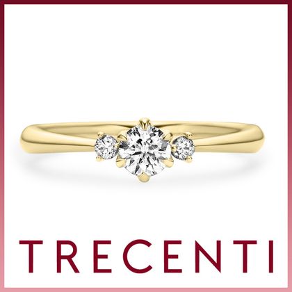 【TRECENTI(トレセンテ)】トレ・ウェヌス（VENUS-A)