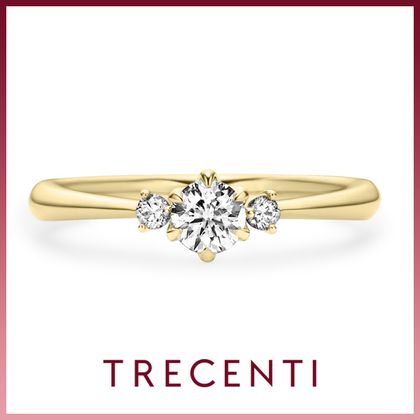 【TRECENTI(トレセンテ)】トレ・ウェヌス（VENUS-A)