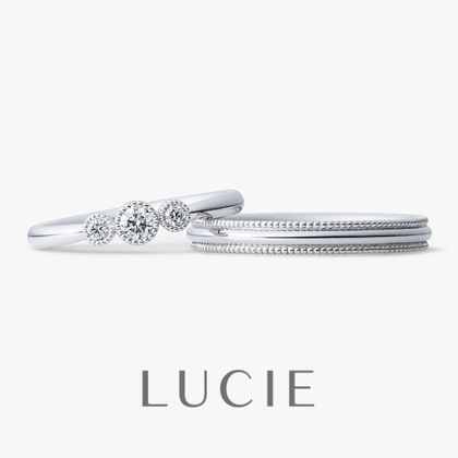 【LUCIE(ルシエ)】パニエ（薔薇の花かご）