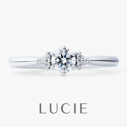 【TOMPKINS(トンプキンス)】Blooming　ブルーミング