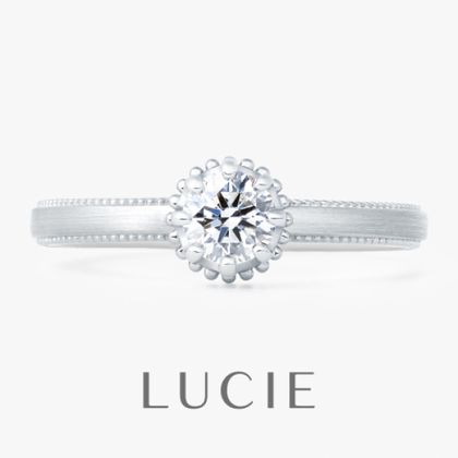 【TOMPKINS(トンプキンス)】Sentier　サンティエ