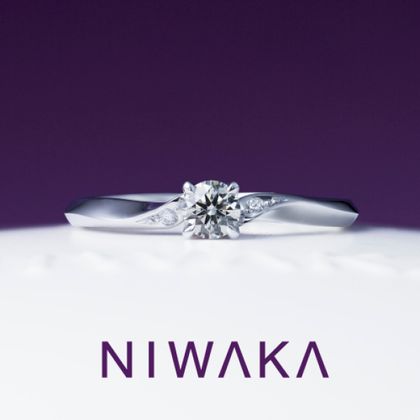 【TOMPKINS(トンプキンス)】ことのは　KOTONOHA