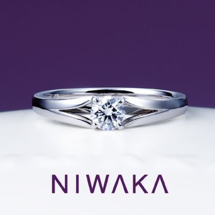 【TOMPKINS(トンプキンス)】瑞穂波　MIZUHONAMI