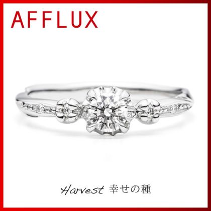 【TOMPKINS(トンプキンス)】Harvest　～幸せの種～