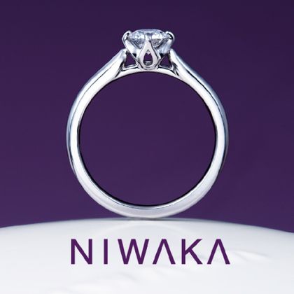 【TOMPKINS(トンプキンス)】睡蓮　SUIREN