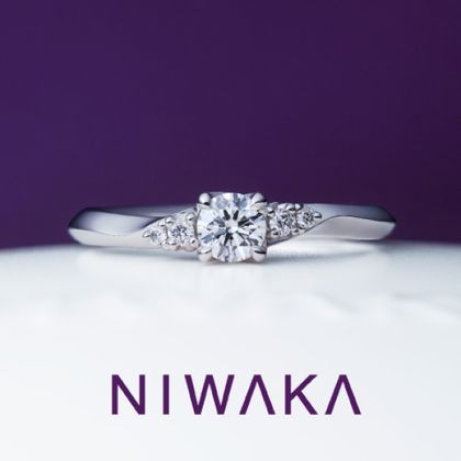 【TOMPKINS(トンプキンス)】ことのは　KOTONOHA