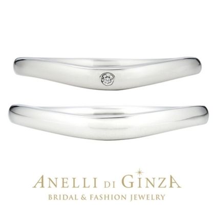 【アネリディギンザ(ANELLI DI GINZA)】当日持ち帰れる！パネットーネ