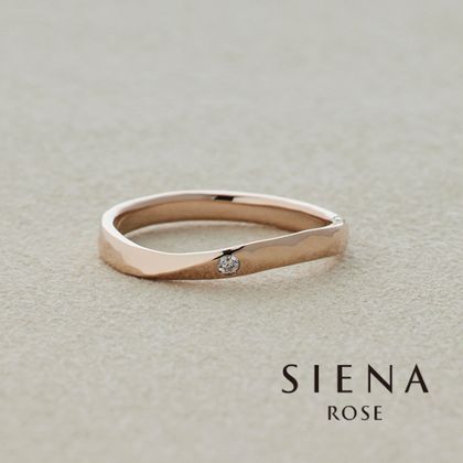 月と木 天体望遠鏡博物館 公式ホームページ