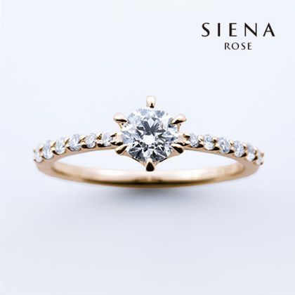 【SIENAROSE(シエナロゼ)】遥か-haruka-