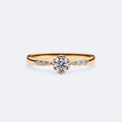 【ヴァンドーム青山(VENDOME AOYAMA)】ファースト ミート【AE_R9203】