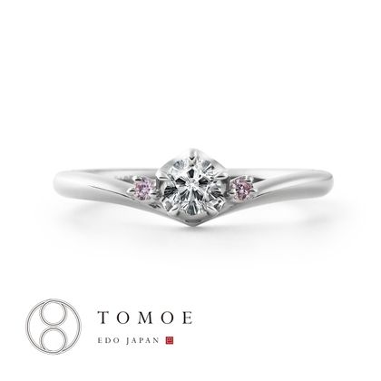 【TOMOE(トモエ)】【MAIZAKURA】舞桜