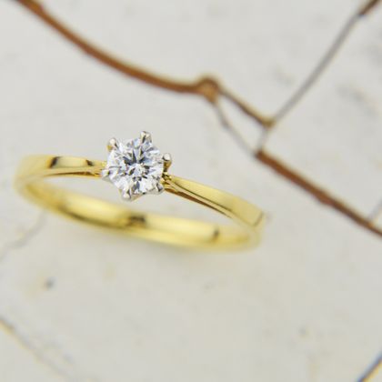 【garden(ガーデン)】ポン・ドゥ・シュリー