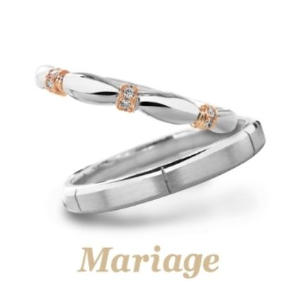 【garden(ガーデン)】シフォン【Chiffon：織物】　コンビアレンジ