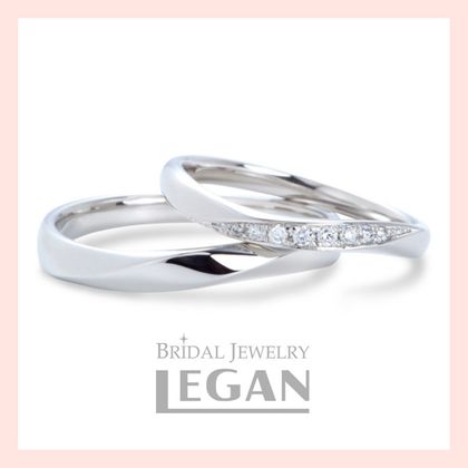 【LEGAN(レガン)】サイネリア（Cineraria）