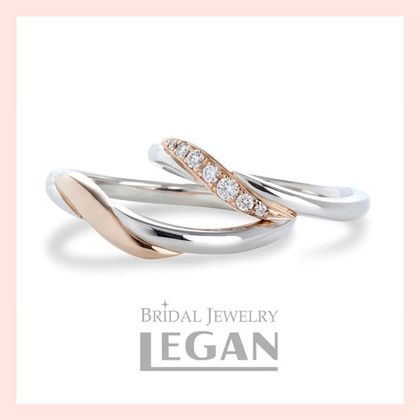 【LEGAN(レガン)】ダスティーミラー（dustymiller）