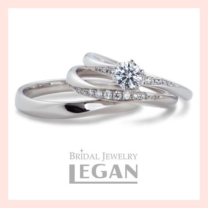 【LEGAN(レガン)】【セットリング】サイネリア（Cineraria）