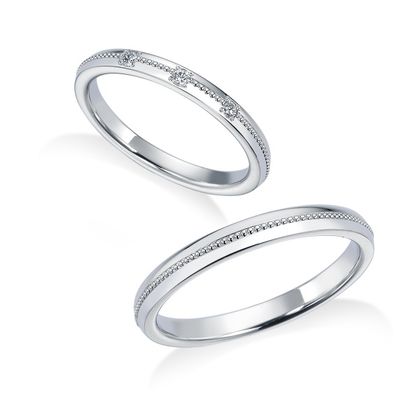 【中井脩】ロイヤルアッシャー【鳥取県のセレクトショップ】