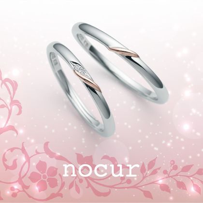 【中井脩】ノクル【鳥取県のセレクトショップ】