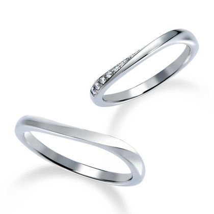 【中井脩】ロイヤルアッシャー【鳥取県のセレクトショップ】