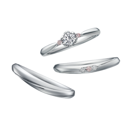 【中井脩】ディズニーシンデレラ【鳥取県のセレクトショップ】