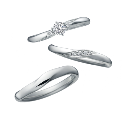 【中井脩】ディズニーシンデレラ【鳥取県のセレクトショップ】